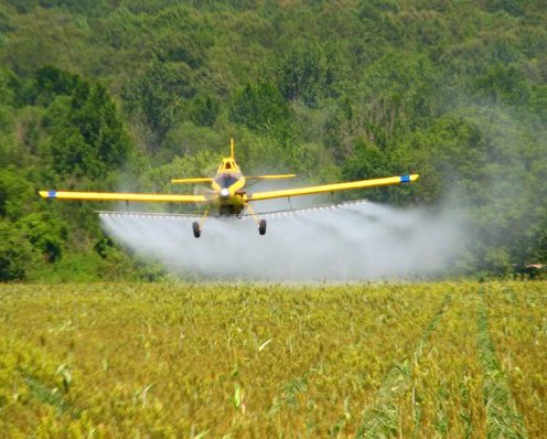 Опасность нитратов в питьевой воде