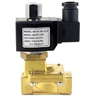 Соленоидный клапан Sanlixin SLP2DF02E1D13 (1/2