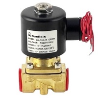Sanlixin 2W-100-15C клапан электромагнитный