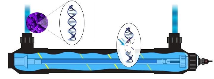 Ультрафиолетовые обеззараживатели воды 