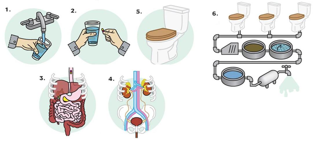 Фармацевтические препараты в водопроводной воде